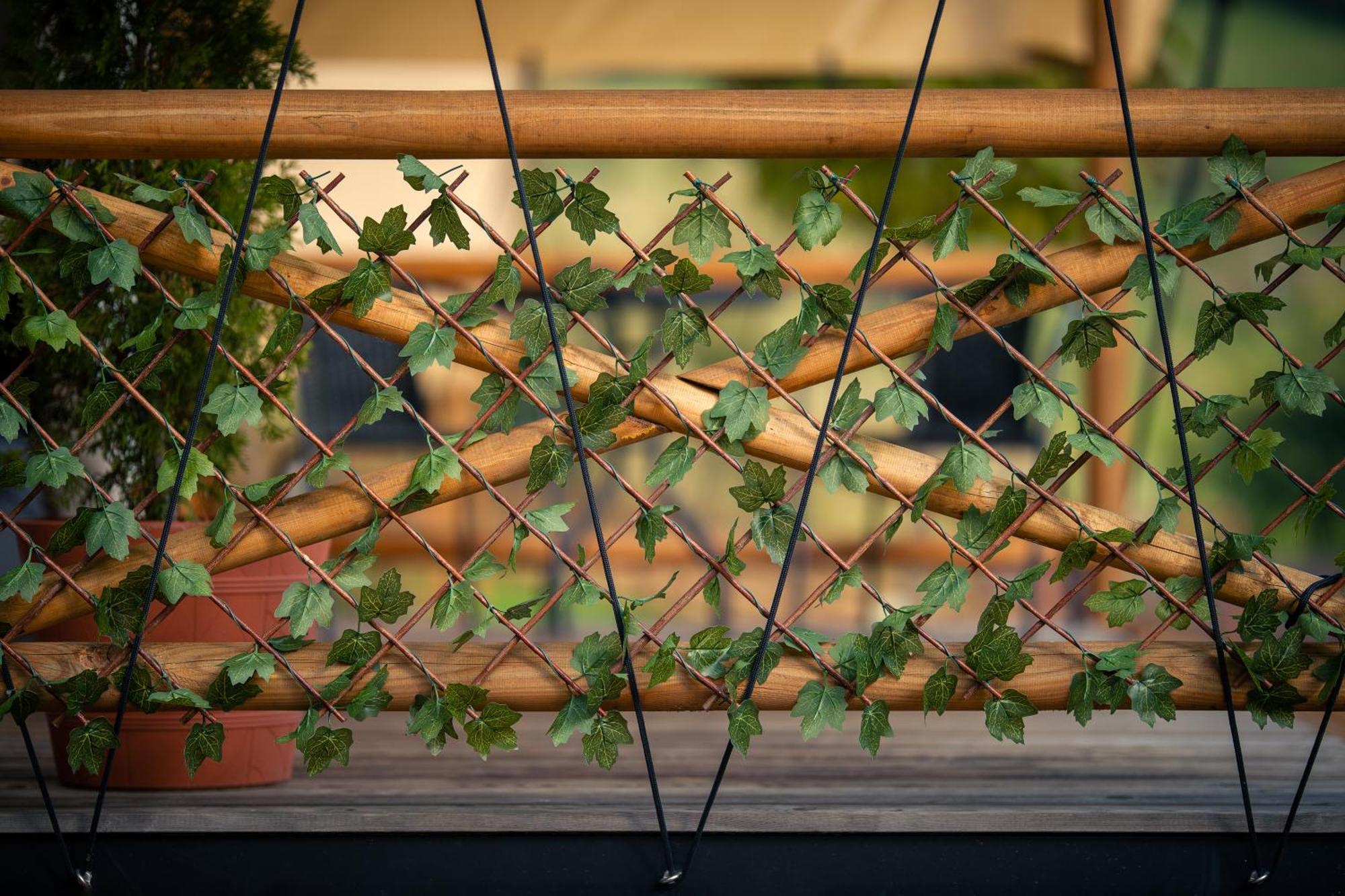 Hotel Glamping Pod Gwiazdami Pietrusza Wola Exteriér fotografie
