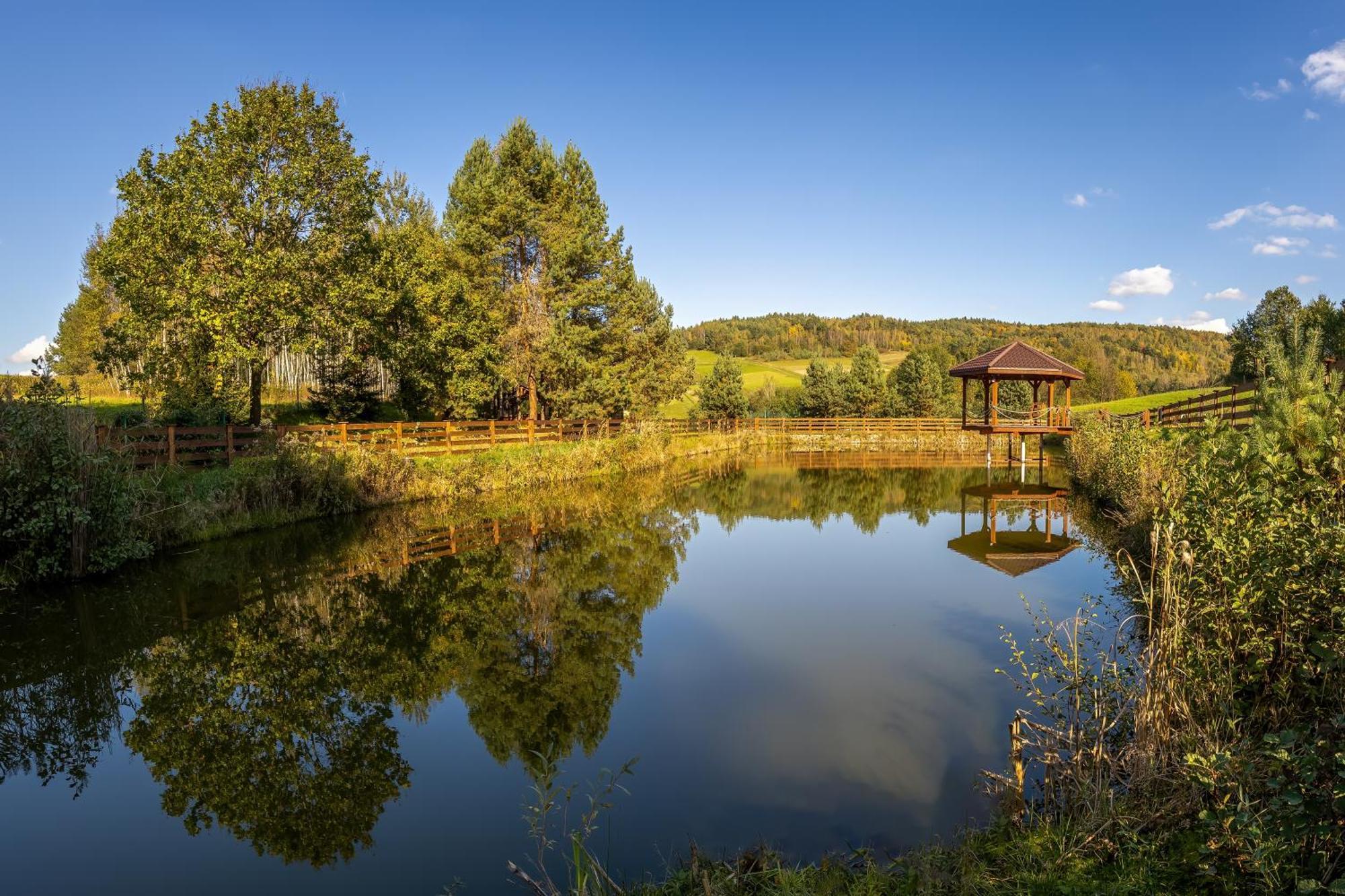 Hotel Glamping Pod Gwiazdami Pietrusza Wola Exteriér fotografie