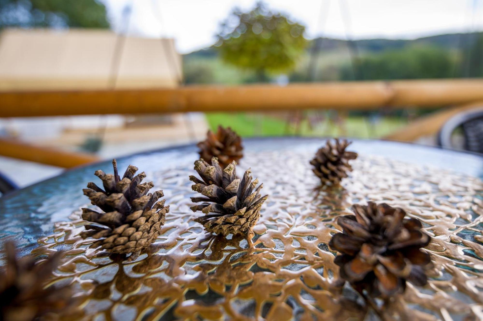 Hotel Glamping Pod Gwiazdami Pietrusza Wola Exteriér fotografie