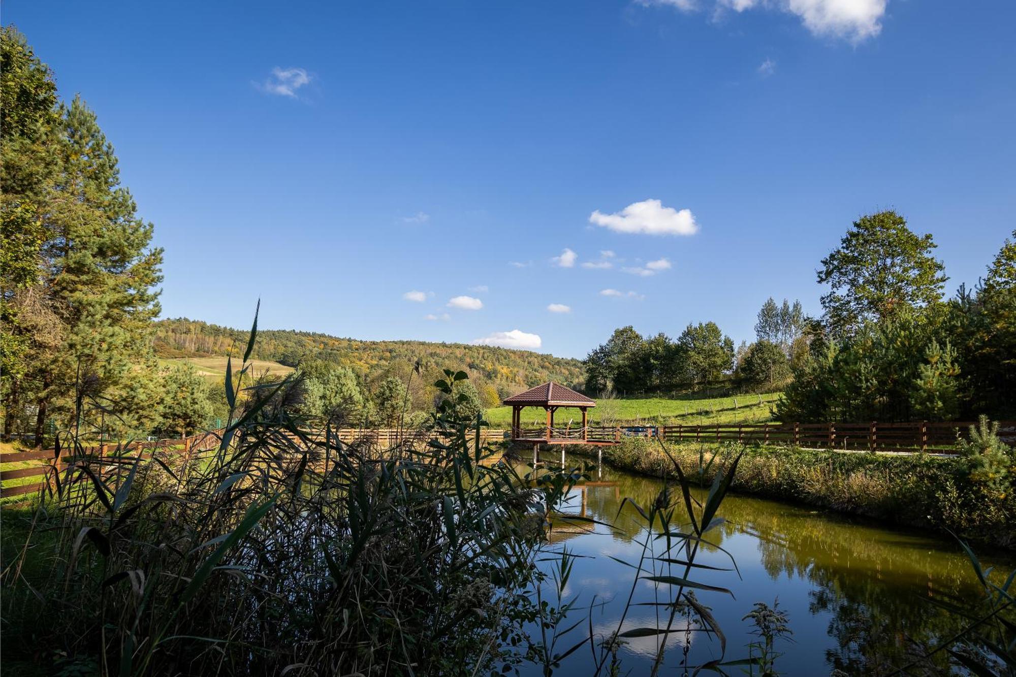 Hotel Glamping Pod Gwiazdami Pietrusza Wola Exteriér fotografie